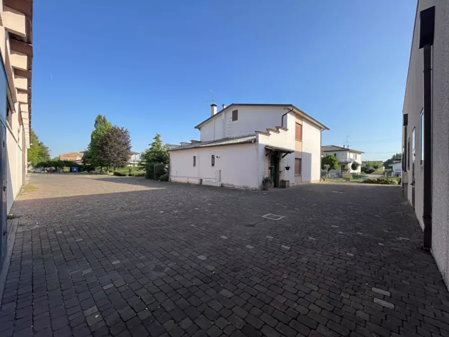 Immagine 14 di Capannone industriale in vendita  a Casale Di Scodosia