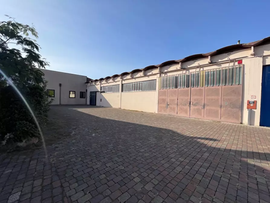 Immagine 15 di Capannone industriale in vendita  a Casale Di Scodosia