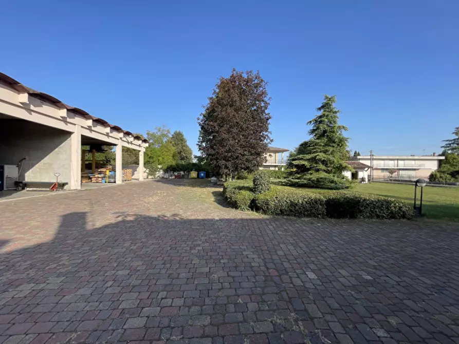 Immagine 16 di Capannone industriale in vendita  a Casale Di Scodosia