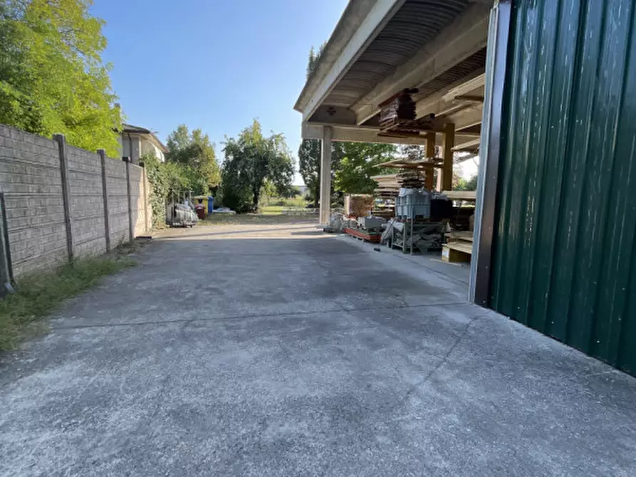 Immagine 18 di Capannone industriale in vendita  a Casale Di Scodosia