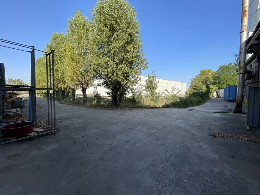Immagine 20 di Capannone industriale in vendita  a Casale Di Scodosia