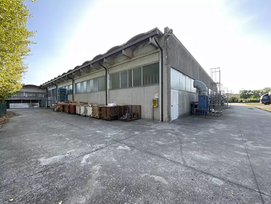 Immagine 21 di Capannone industriale in vendita  a Casale Di Scodosia