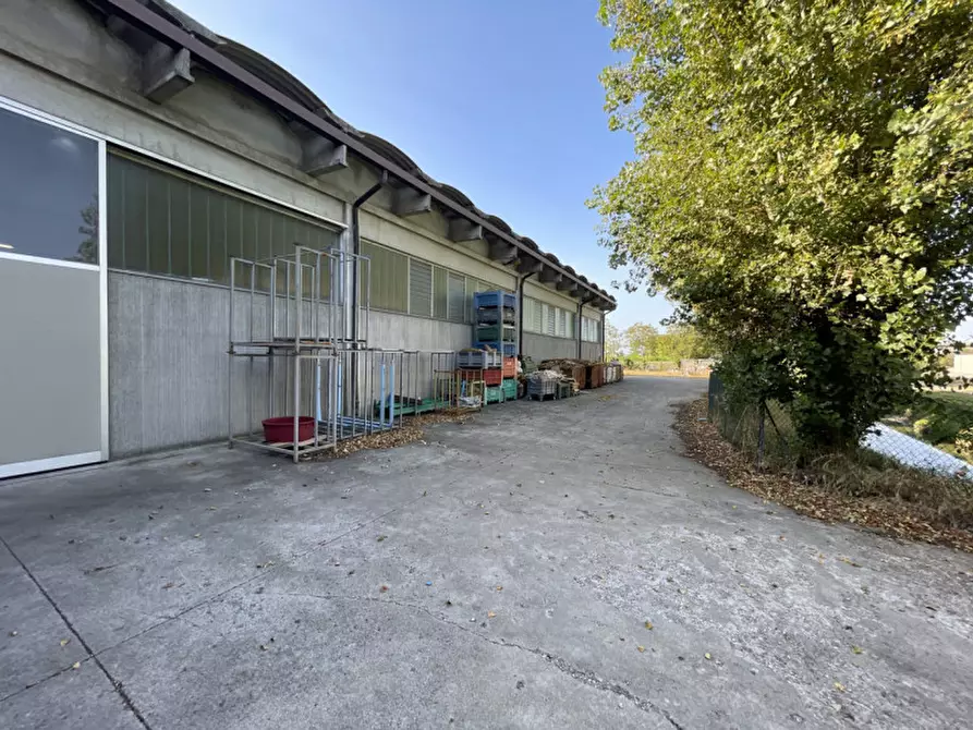 Immagine 22 di Capannone industriale in vendita  a Casale Di Scodosia