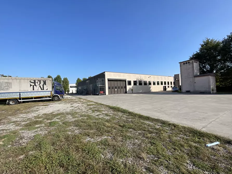 Immagine 23 di Capannone industriale in vendita  a Casale Di Scodosia