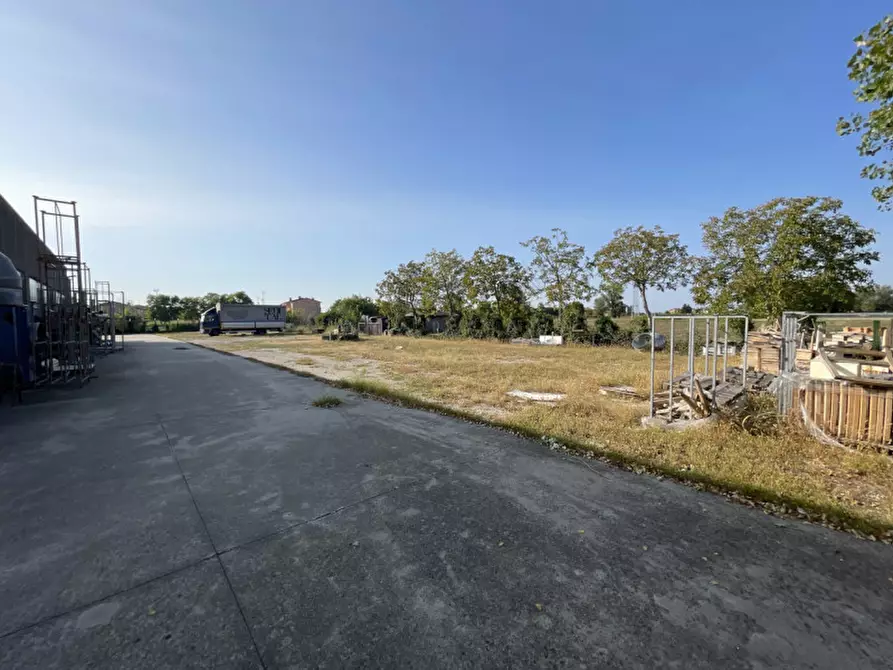 Immagine 25 di Capannone industriale in vendita  a Casale Di Scodosia