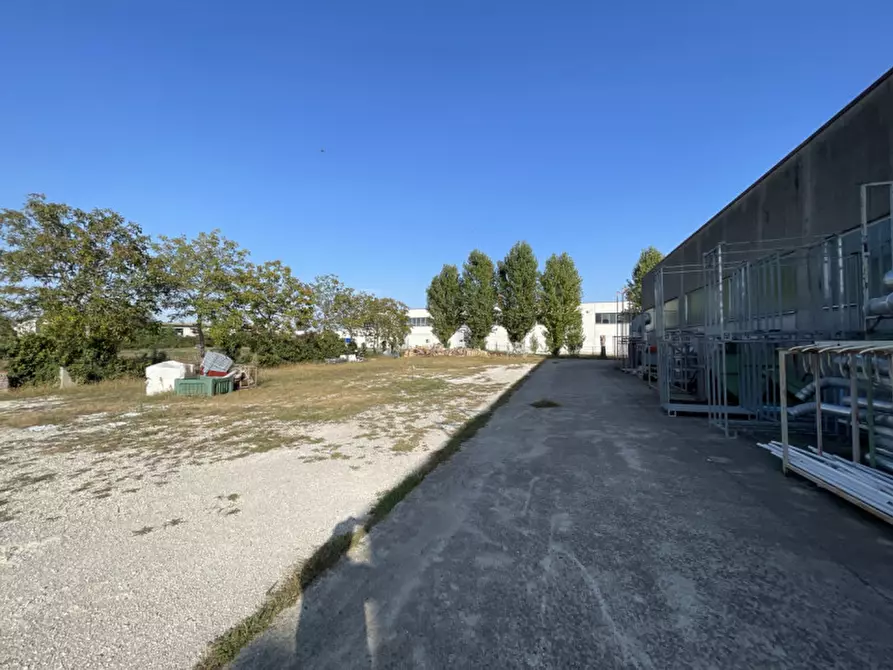 Immagine 26 di Capannone industriale in vendita  a Casale Di Scodosia