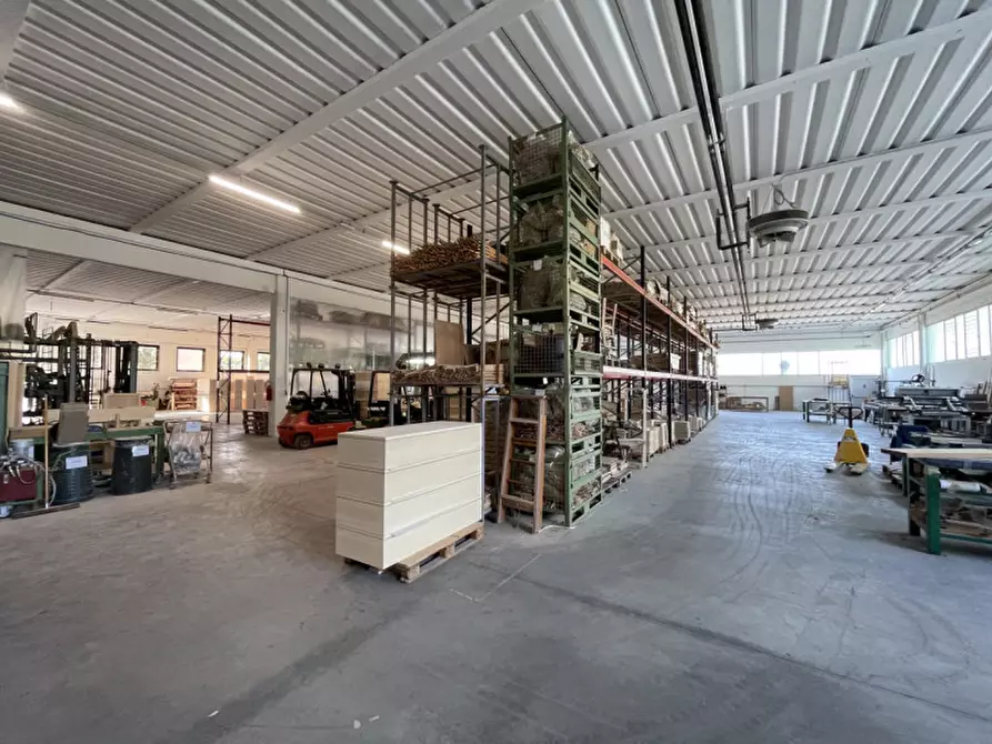 Immagine 37 di Capannone industriale in vendita  a Casale Di Scodosia