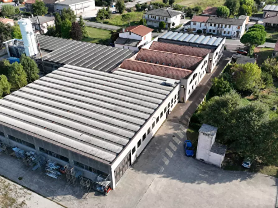 Immagine 39 di Capannone industriale in vendita  a Casale Di Scodosia