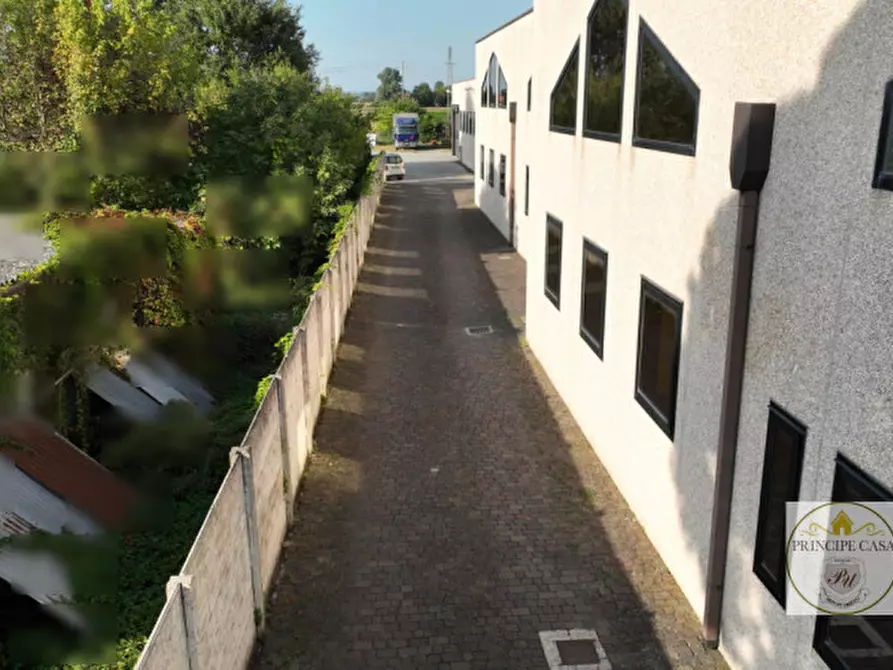Immagine 40 di Capannone industriale in vendita  a Casale Di Scodosia