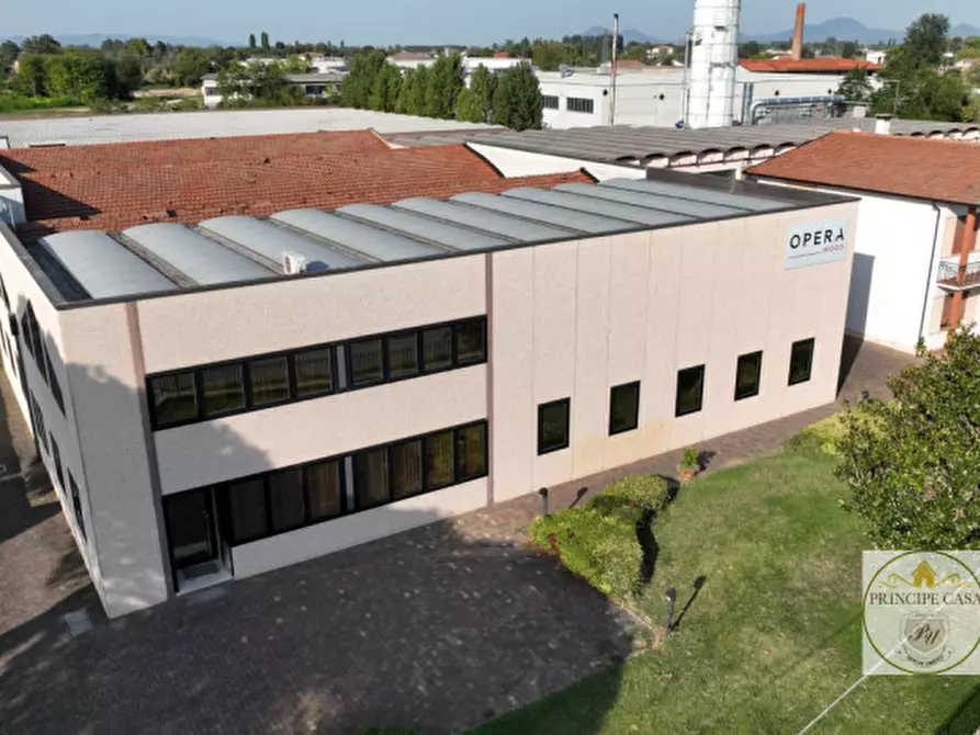 Immagine 41 di Capannone industriale in vendita  a Casale Di Scodosia