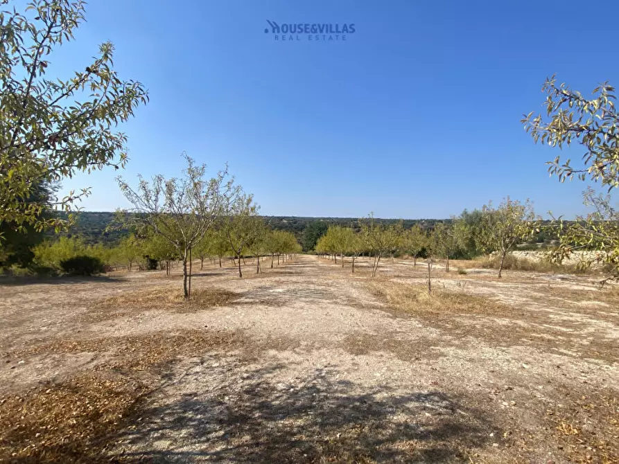 Immagine 12 di Rustico / casale in vendita  in contrada castelluccio a Noto