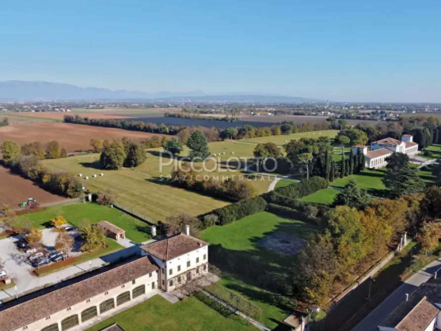 Immagine 8 di Ufficio in vendita  in Piazza Giorgione a Castelfranco Veneto
