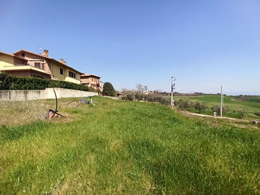 Immagine 3 di Terreno in vendita  in Pozzuolo a Castiglione Del Lago