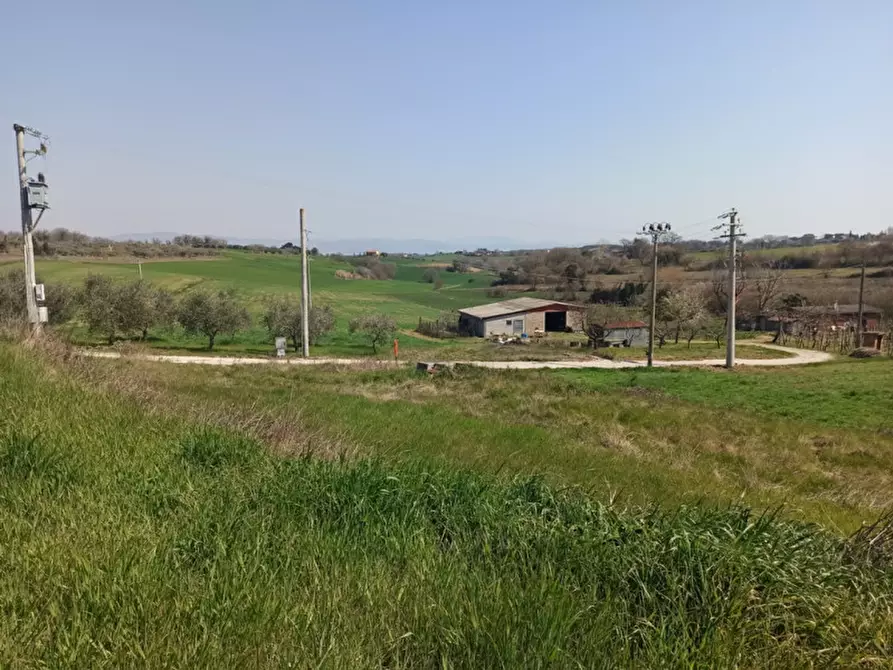 Immagine 5 di Terreno in vendita  in Pozzuolo a Castiglione Del Lago