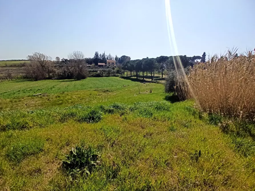 Immagine 9 di Terreno in vendita  in Pozzuolo a Castiglione Del Lago
