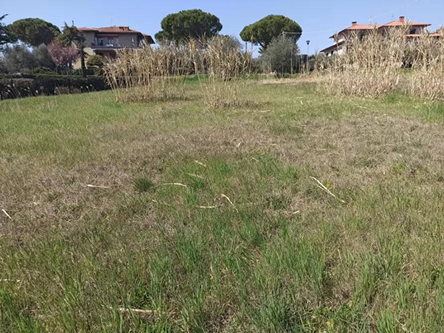 Immagine 3 di Terreno in vendita  in Pozzuolo a Castiglione Del Lago