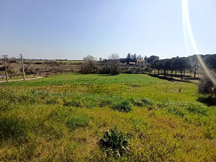Immagine 5 di Terreno in vendita  in Pozzuolo a Castiglione Del Lago