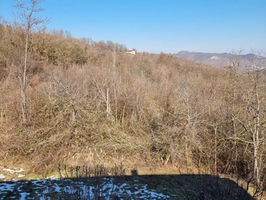 Immagine 28 di Casa trifamiliare in vendita  in via estense 7337 a Serramazzoni