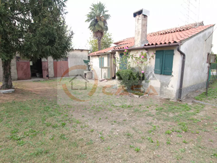 Immagine 1 di Casa indipendente in vendita  in Via Pertile a Stra