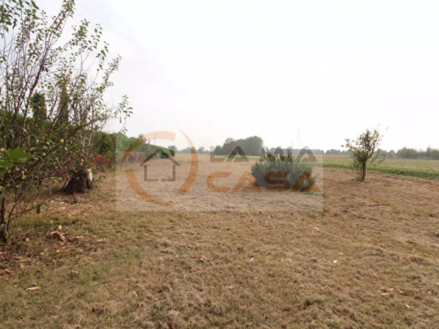 Immagine 6 di Casa indipendente in vendita  in Via Pertile a Stra