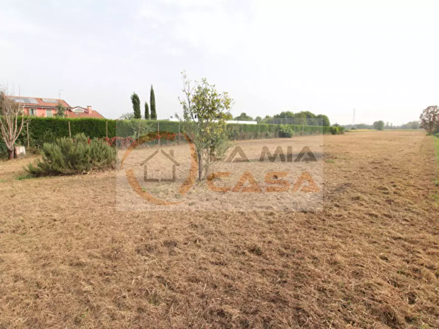 Immagine 7 di Casa indipendente in vendita  in Via Pertile a Stra