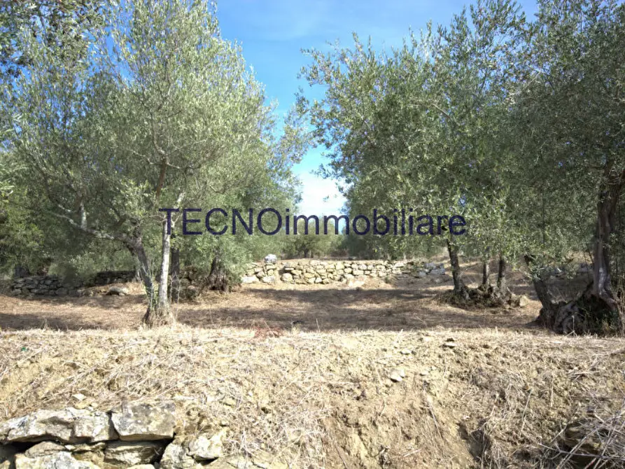 Immagine 3 di Villa in vendita  in via del bando a Perugia