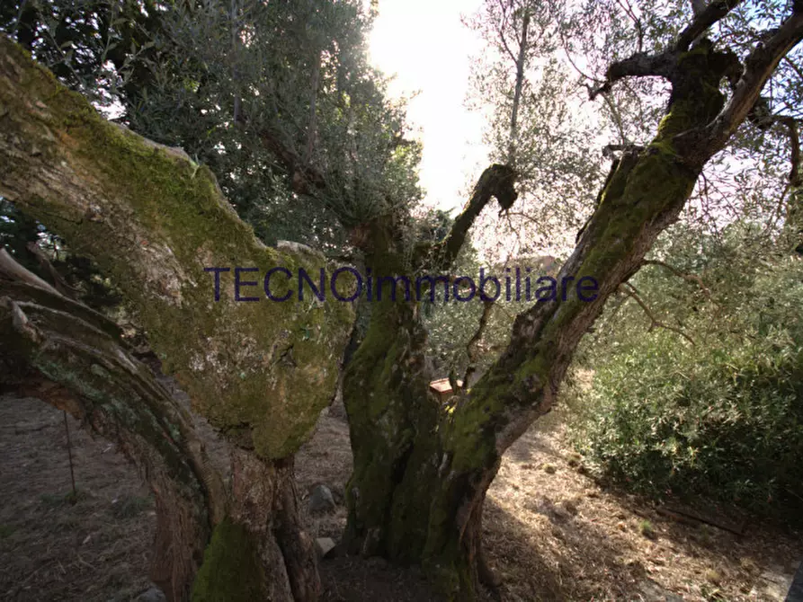 Immagine 25 di Villa in vendita  in via del bando a Perugia