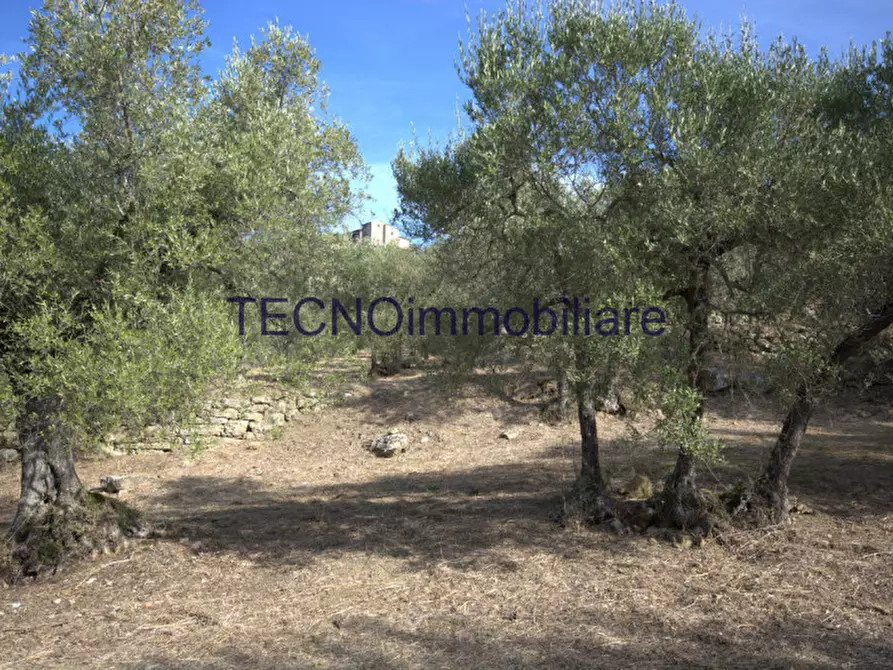 Immagine 36 di Villa in vendita  in via del bando a Perugia