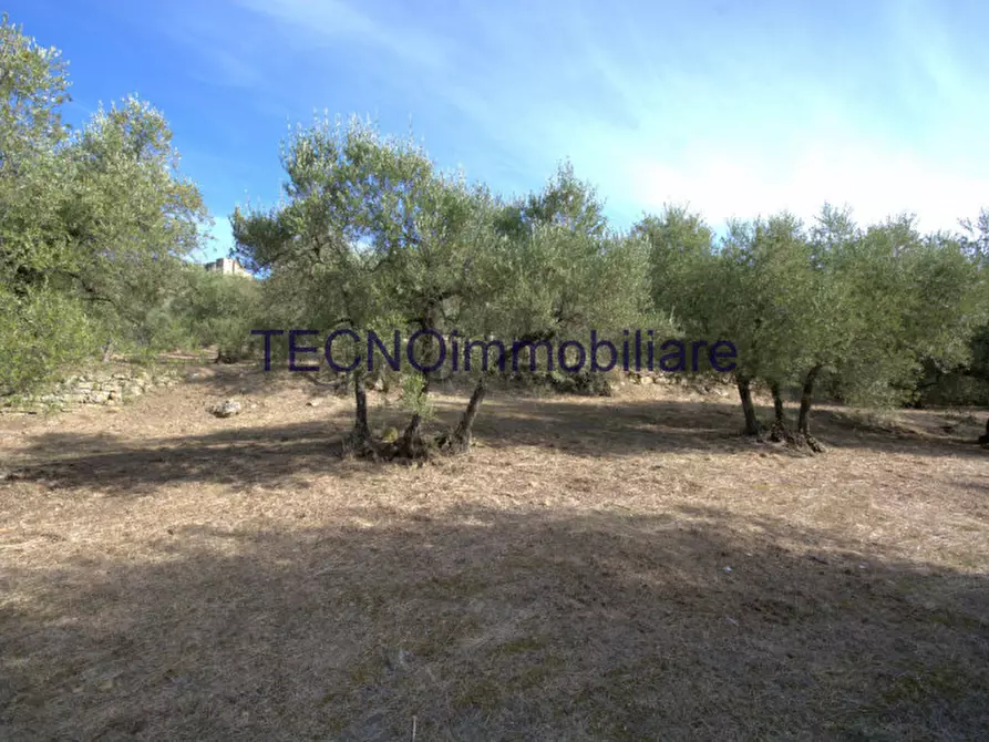 Immagine 37 di Villa in vendita  in via del bando a Perugia