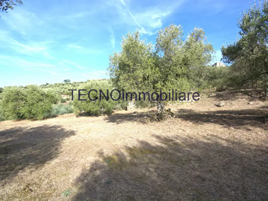 Immagine 38 di Villa in vendita  in via del bando a Perugia