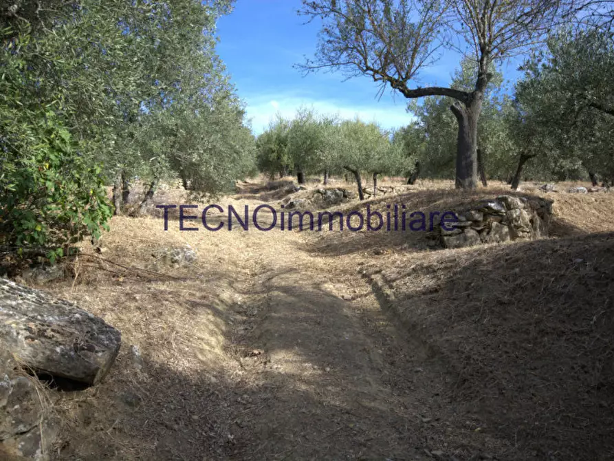 Immagine 39 di Villa in vendita  in via del bando a Perugia