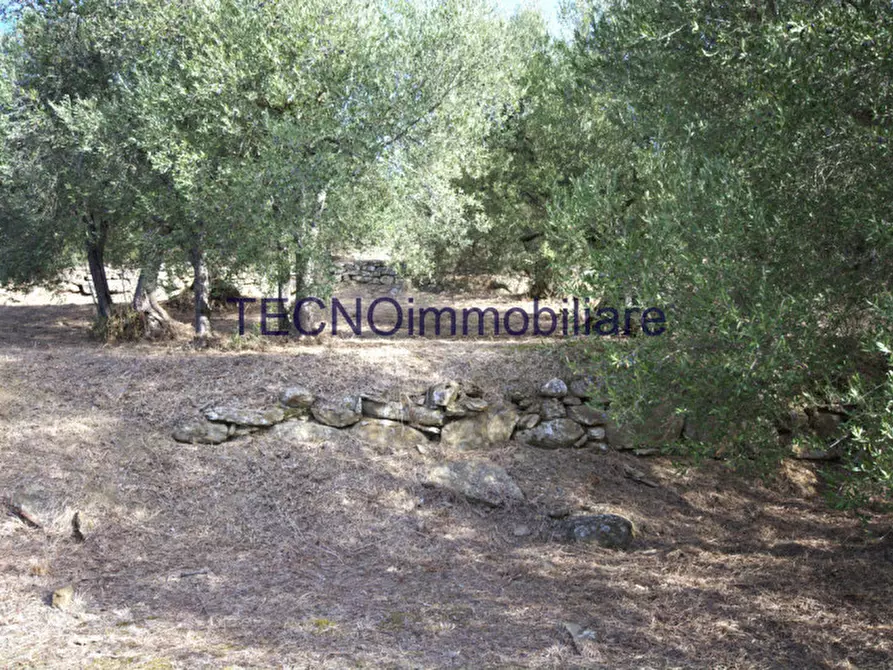 Immagine 40 di Villa in vendita  in via del bando a Perugia