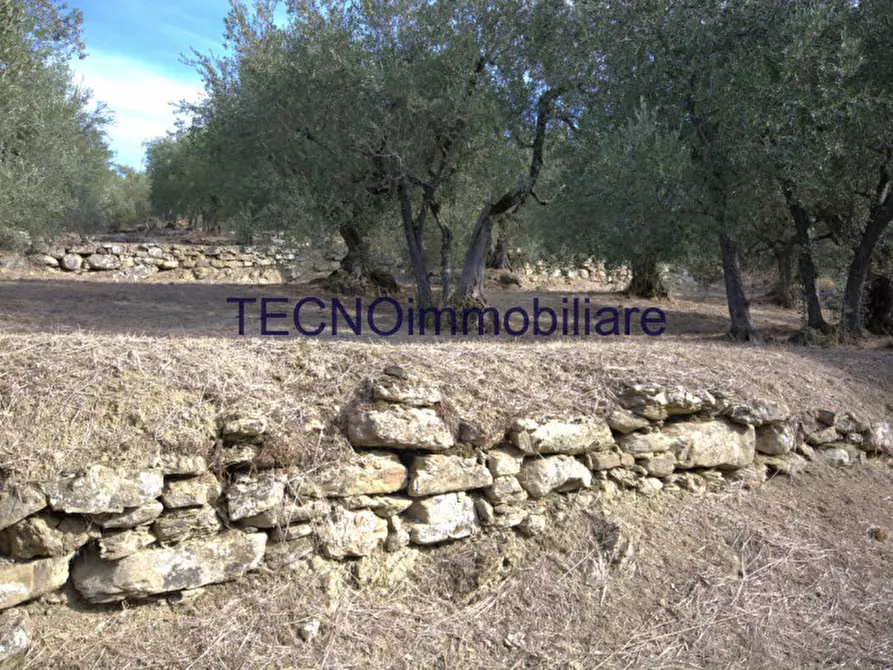 Immagine 41 di Villa in vendita  in via del bando a Perugia