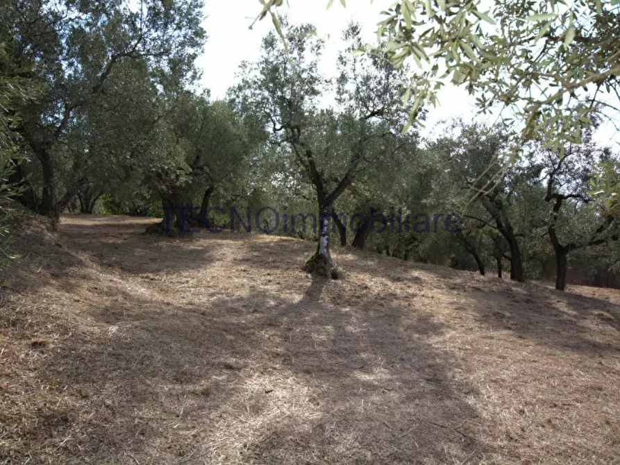 Immagine 44 di Villa in vendita  in via del bando a Perugia