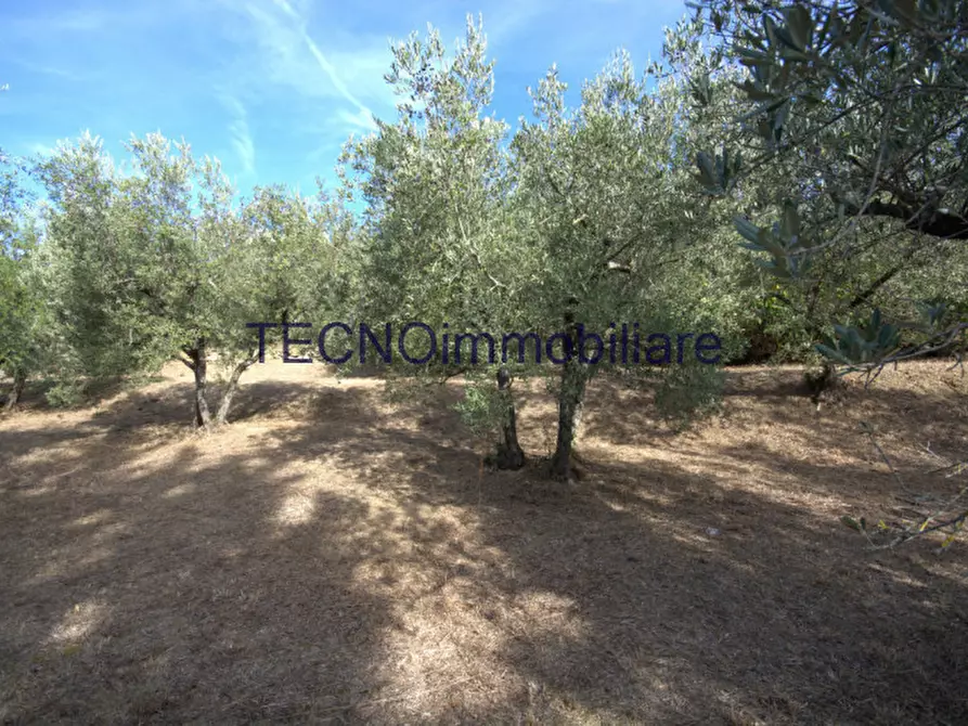 Immagine 58 di Villa in vendita  in via del bando a Perugia