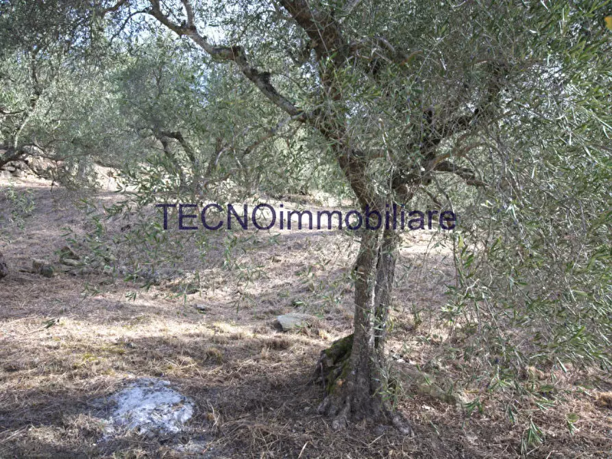 Immagine 60 di Villa in vendita  in via del bando a Perugia