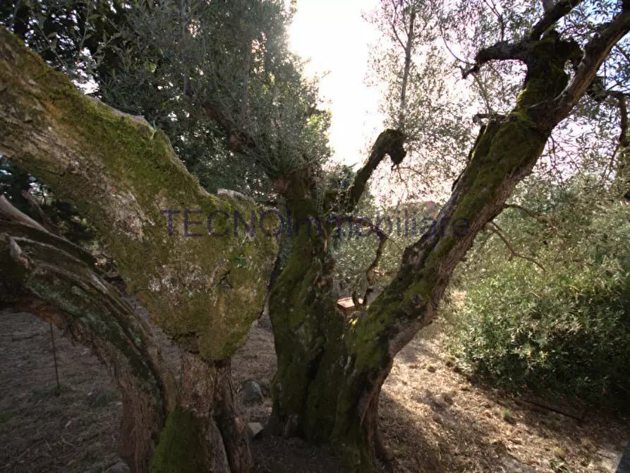 Immagine 96 di Villa in vendita  in via del bando a Perugia