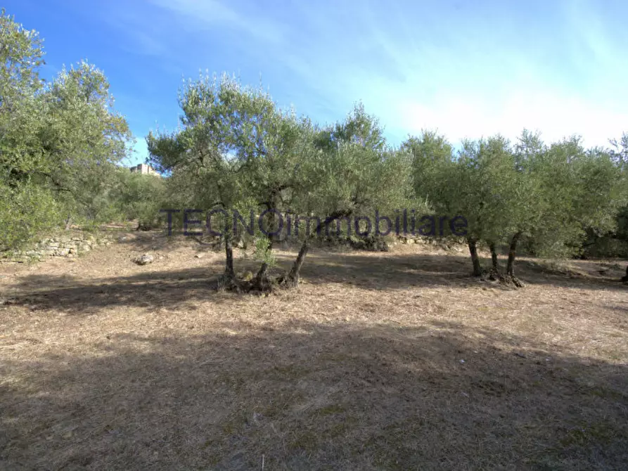 Immagine 107 di Villa in vendita  in via del bando a Perugia