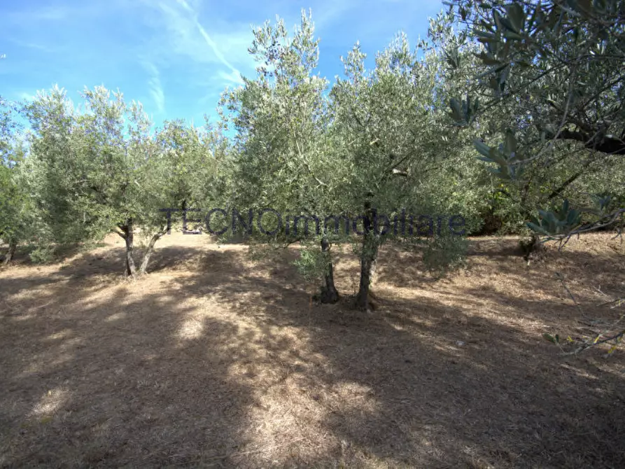 Immagine 109 di Villa in vendita  in via del bando a Perugia