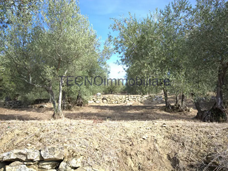 Immagine 110 di Villa in vendita  in via del bando a Perugia