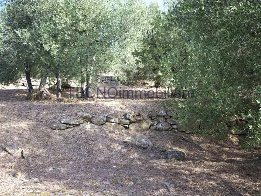 Immagine 111 di Villa in vendita  in via del bando a Perugia