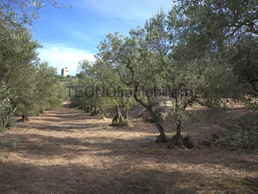 Immagine 112 di Villa in vendita  in via del bando a Perugia