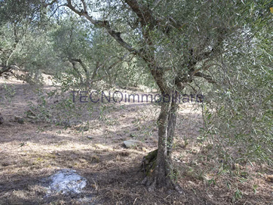 Immagine 113 di Villa in vendita  in via del bando a Perugia