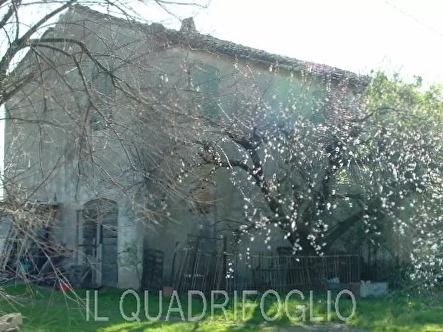 Immagine 2 di Rustico / casale in vendita  a Cesena