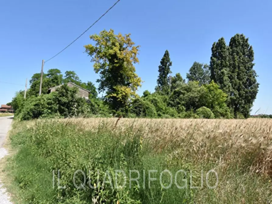 Immagine 4 di Rustico / casale in vendita  a Cesena
