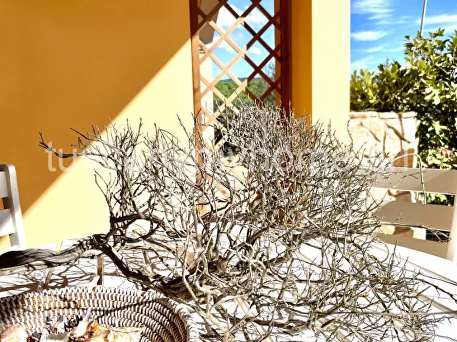 Immagine 1 di Appartamento in vendita  a Castiglione Della Pescaia