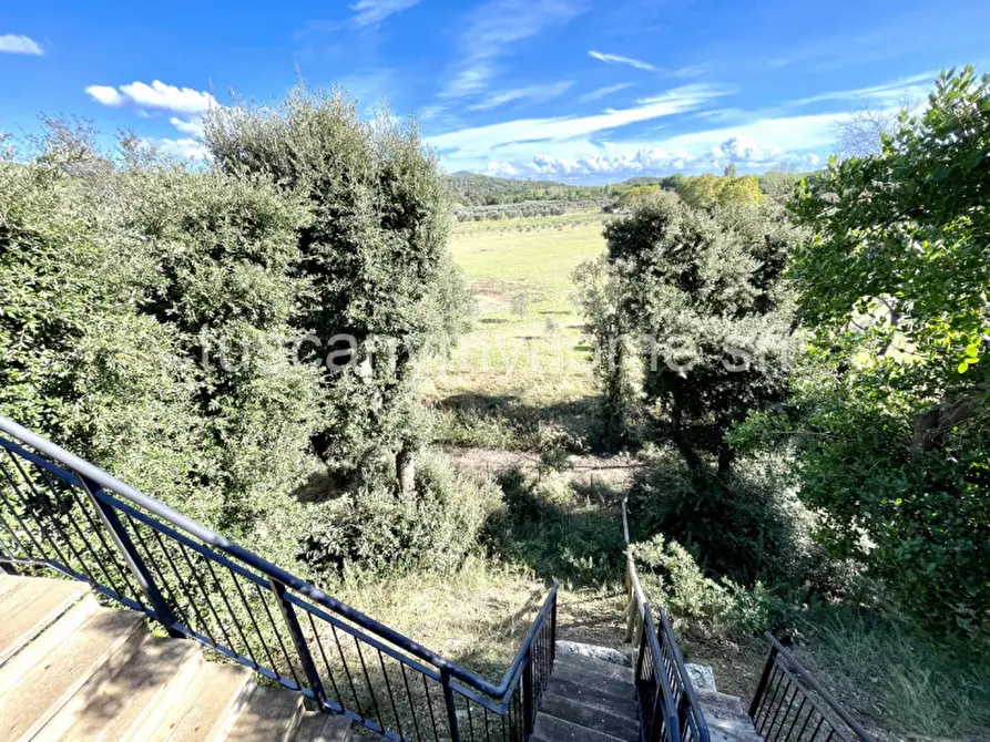 Immagine 9 di Appartamento in vendita  a Castiglione Della Pescaia