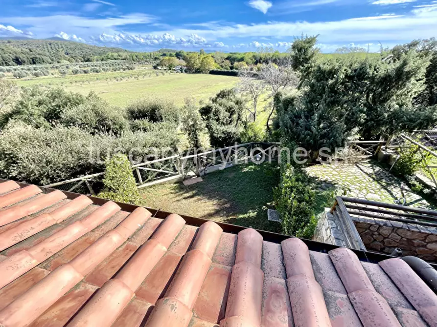 Immagine 38 di Appartamento in vendita  a Castiglione Della Pescaia