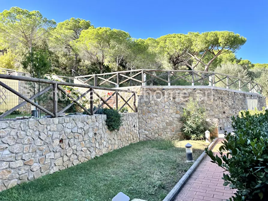 Immagine 39 di Appartamento in vendita  a Castiglione Della Pescaia