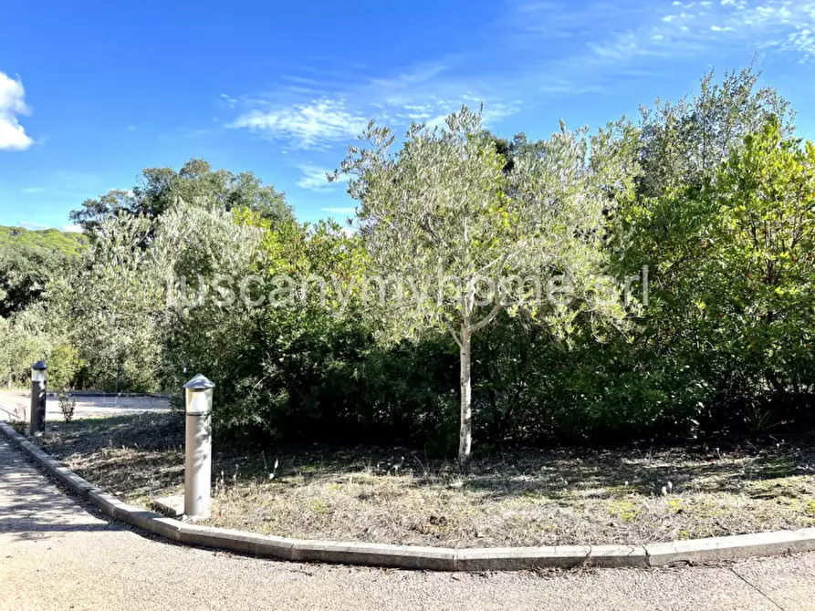 Immagine 41 di Appartamento in vendita  a Castiglione Della Pescaia